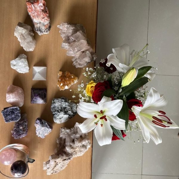 WhatsApp Image 2025-02-17 at 11.50.54 AM